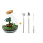 🌿🛠️ DIY Terrarium Drop XL – Bonsai – 37 cm – Including rake, shovel &amp; tweezers
