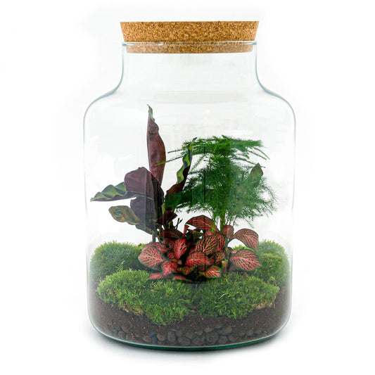 🌿🛠️ DIY Terrarium Milky – 30 cm – Including rake, shovel &amp; tweezers