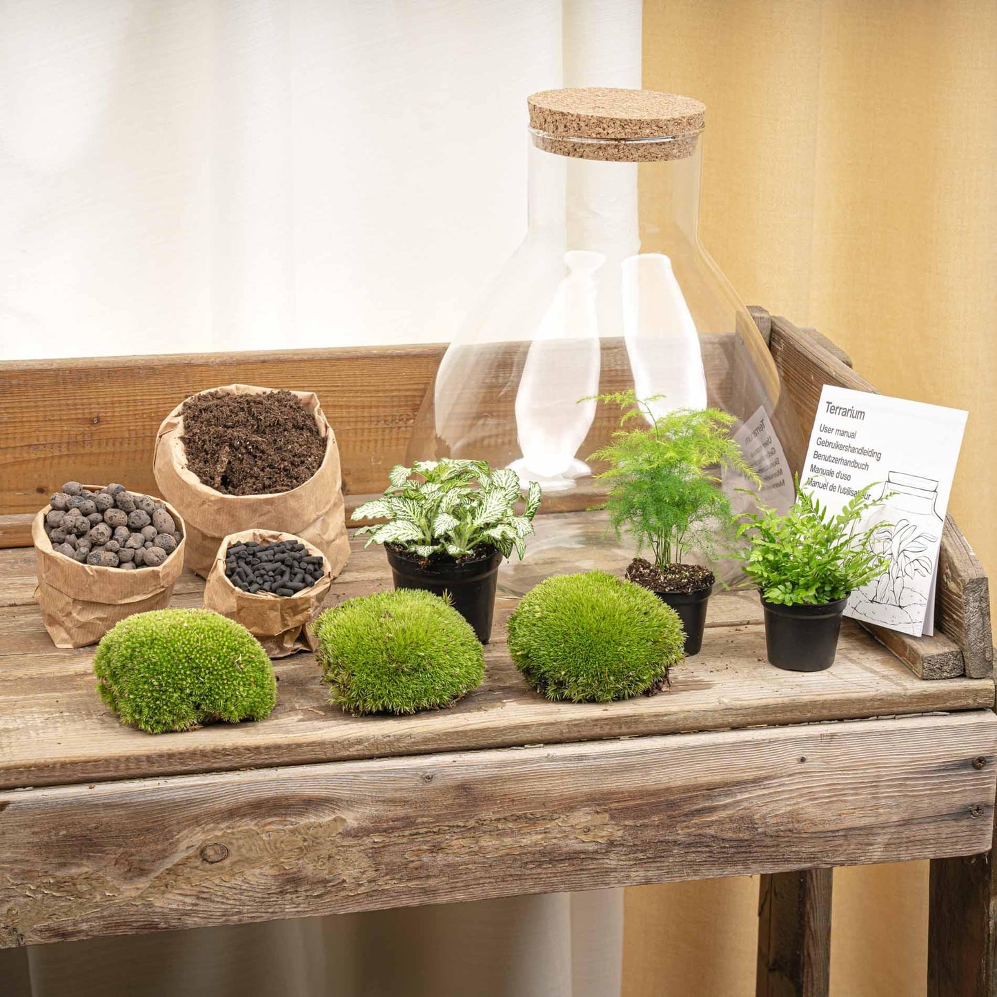 🌿💡 DIY Terrarium Sam XL – With LED – 32 cm