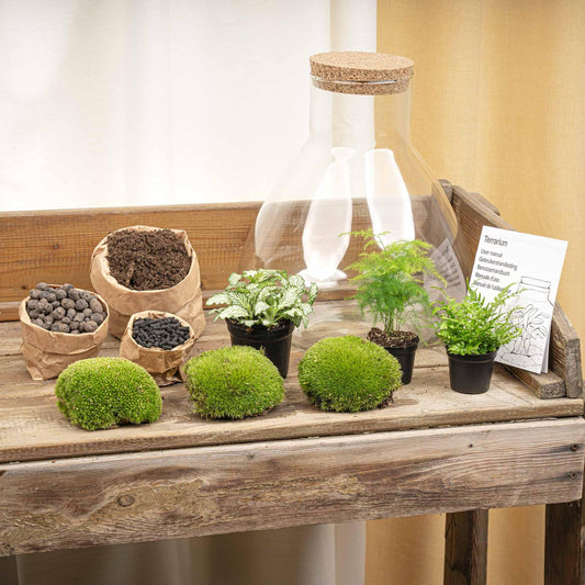 🌿💡 DIY Terrarium Sam XL – With LED – 32 cm