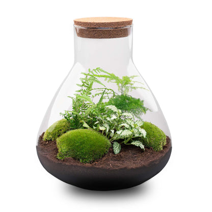 🌿🛠️ DIY Terrarium Sam XL – 35 cm – Complete with rake, shovel, tweezers &amp; scissors
