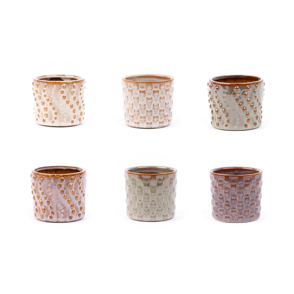 Madrid Mini Plant Set – 6 pieces | Easy maintenance