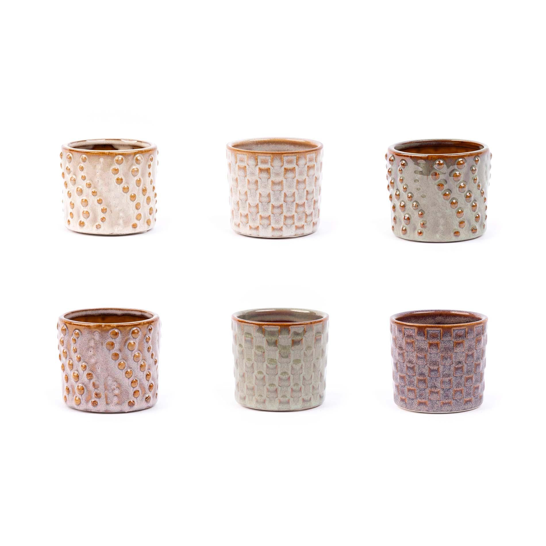 Madrid Mini Plant Set – 6 pieces | Easy maintenance