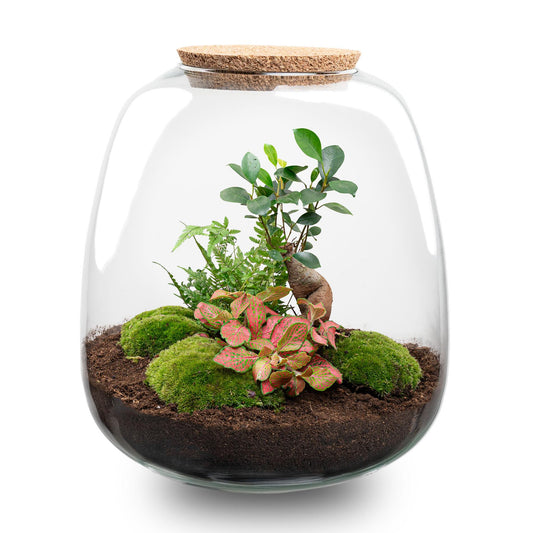 🌿💡 DIY Terrarium Emma – Bonsai Red + LED – 25×23 cm