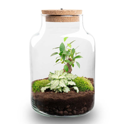 🪴💡 DIY Terrarium Little Milky – With LED – 25 cm