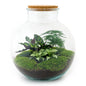 🌿 DIY Terrarium Bollard Bob – 30 cm