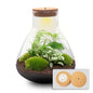 🌿💡 DIY Terrarium Sam XL – With LED – 32 cm