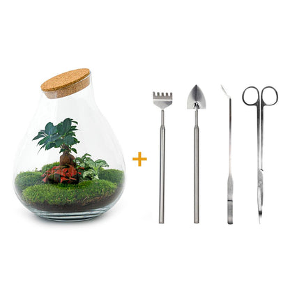 🌿🛠️ DIY Terrarium Drop XL – Bonsai – 37 cm – Complete with rake, shovel, tweezers &amp; scissors