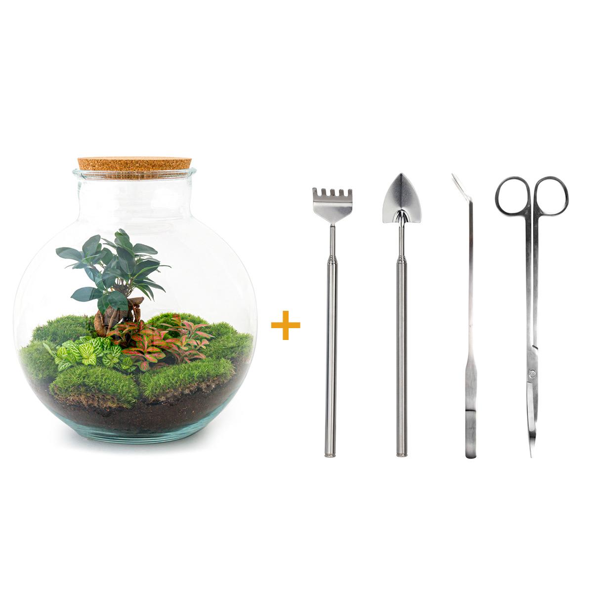 🪴🛠️ DIY Terrarium Bolder Bob – Bonsai – 30 cm – Complete with rake, shovel, tweezers &amp; scissors