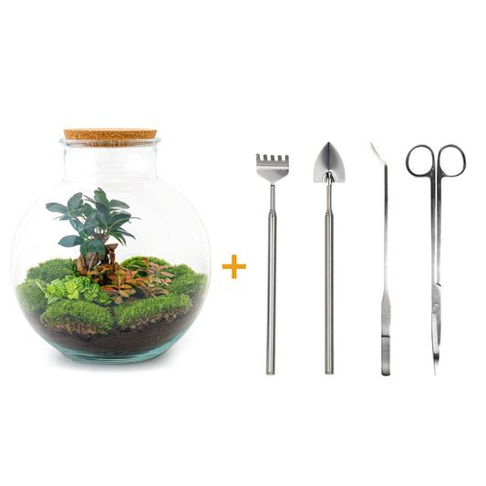 🪴🛠️ DIY Terrarium Bolder Bob – Bonsai – 30 cm – Complete with rake, shovel, tweezers &amp; scissors