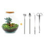 🪴🛠️ DIY Terrarium Bolder Bob – Bonsai – 30 cm – Complete with rake, shovel, tweezers &amp; scissors