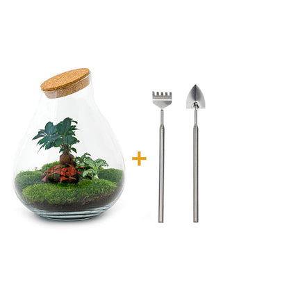 🌿🛠️ DIY Terrarium Drop XL – Bonsai – 37 cm – Including rake &amp; shovel