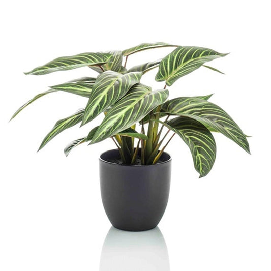 🌿 Calathea Zebrina Kunstplant – 42 cm
