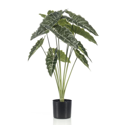 Alocasia 80cm - Artificial plant