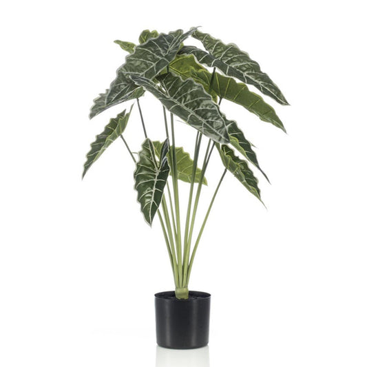 Alocasia 80cm - Artificial plant