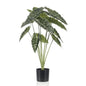 Alocasia 80cm - Artificial plant