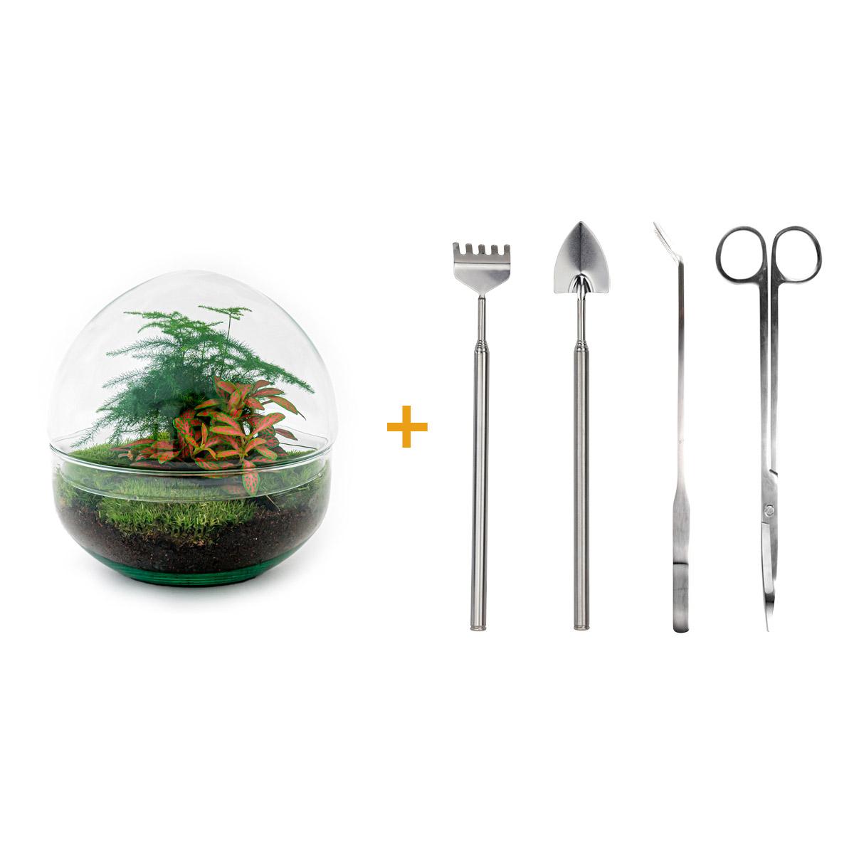 🌿🛠️ DIY Terrarium Dome Red – 20 cm – Complete with rake, shovel, tweezers &amp; scissors