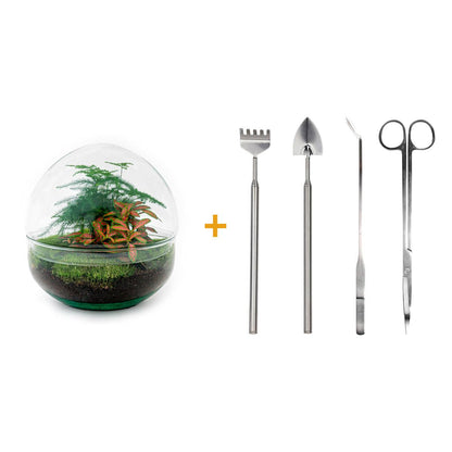 🌿🛠️ DIY Terrarium Dome Red – 20 cm – Complete with rake, shovel, tweezers &amp; scissors