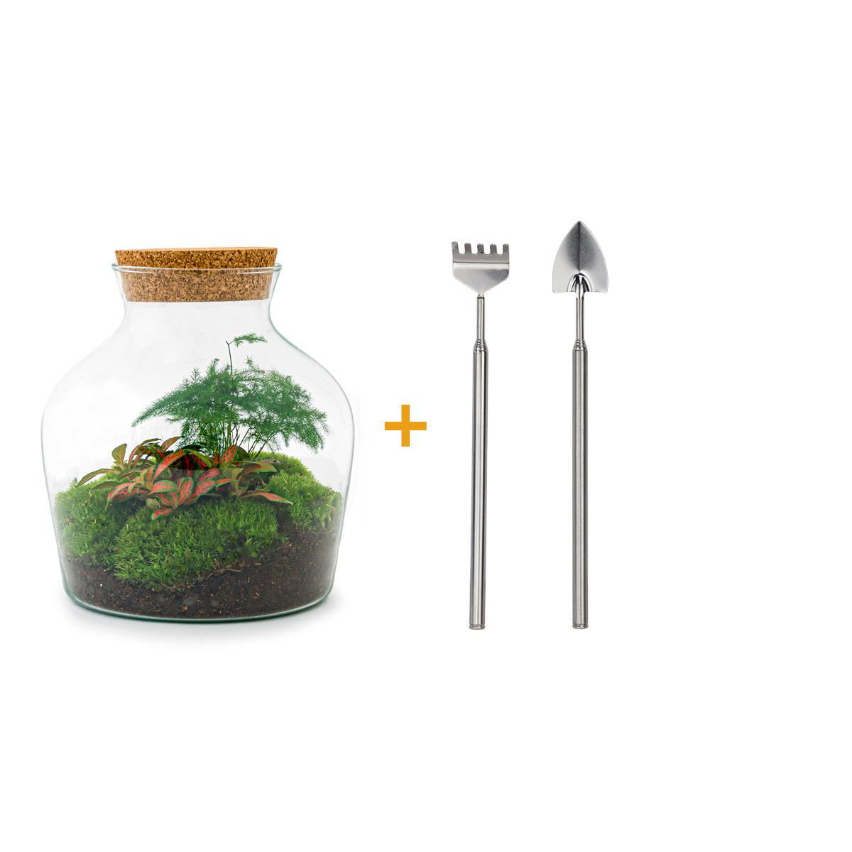 🌿🛠️ DIY Terrarium Little Joe – 21.5 cm – Including rake &amp; shovel