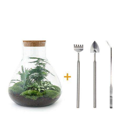 🌿🛠️ DIY Terrarium Sam XL – 35 cm – Includes rake, shovel &amp; tweezers