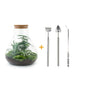 🌿🛠️ DIY Terrarium Sam XL – 35 cm – Includes rake, shovel &amp; tweezers