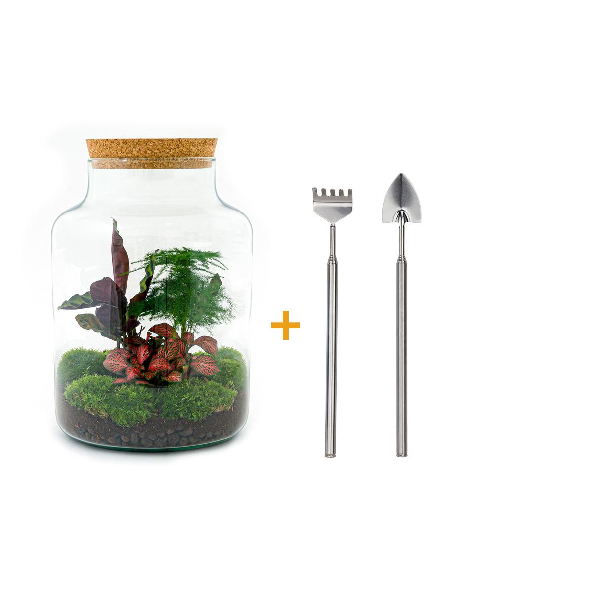 🌿🛠️ DIY Terrarium Milky – 30 cm – Including rake &amp; shovel