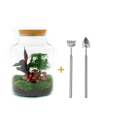 🌿🛠️ DIY Terrarium Milky – 30 cm – Including rake &amp; shovel