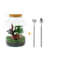 🌿🛠️ DIY Terrarium Milky – 30 cm – Including rake &amp; shovel