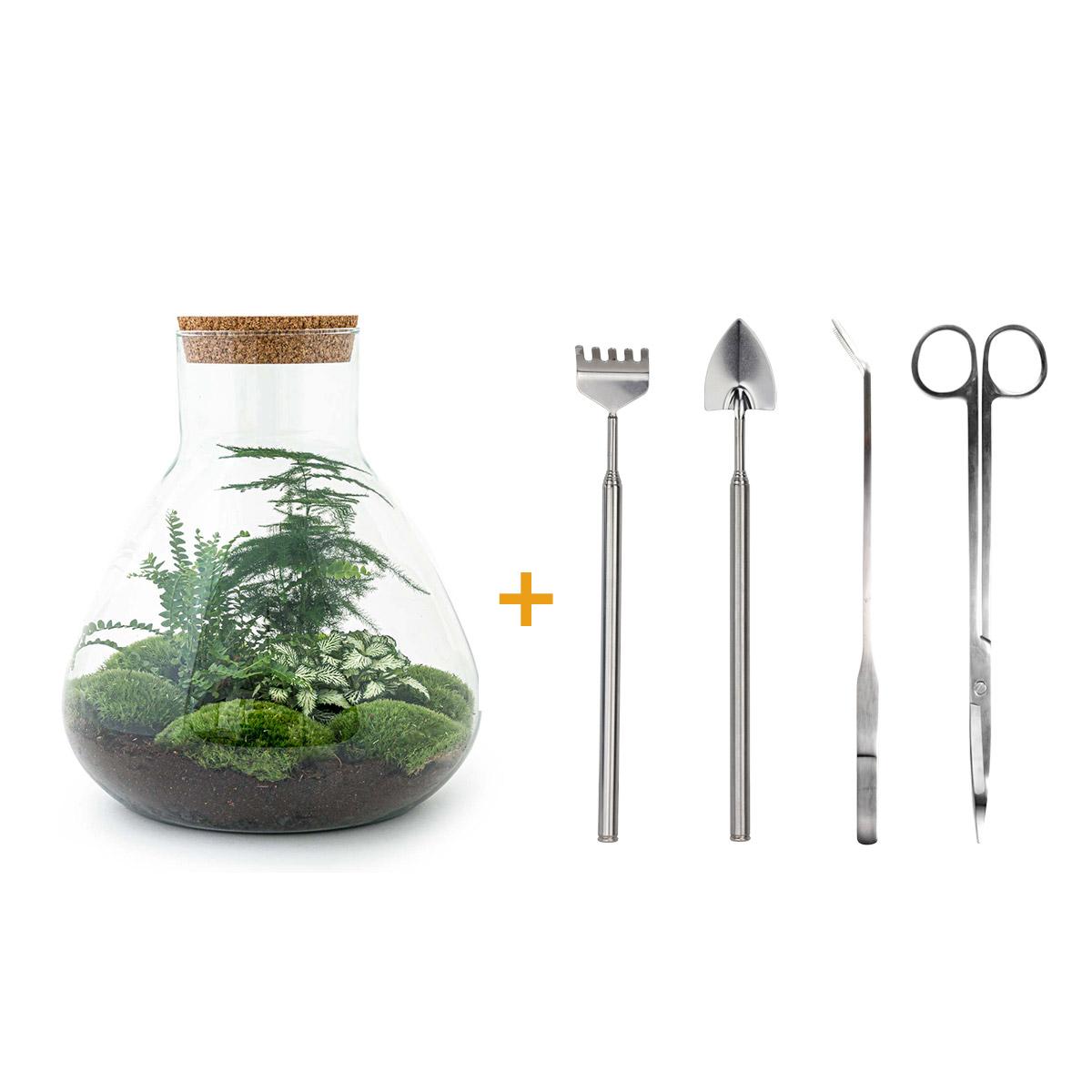 🌿🛠️ DIY Terrarium Sam XL – 35 cm – Complete with rake, shovel, tweezers &amp; scissors