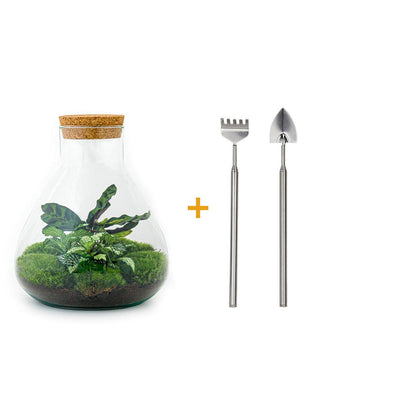 🌿🛠️ DIY Terrarium Sammie – 27 cm – Including rake &amp; shovel