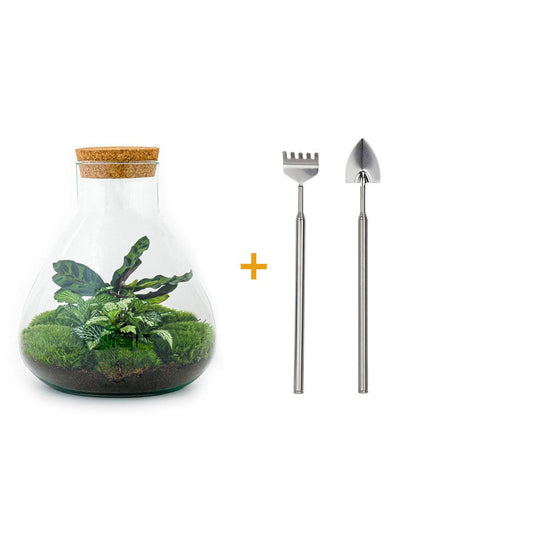 🌿🛠️ DIY Terrarium Sammie – 27 cm – Including rake &amp; shovel