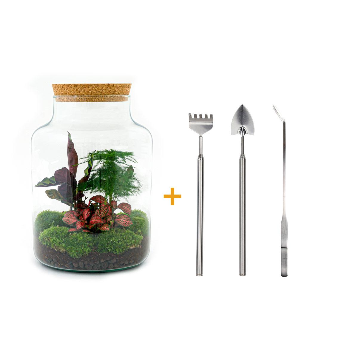 🌿🛠️ DIY Terrarium Milky – 30 cm – Including rake, shovel &amp; tweezers