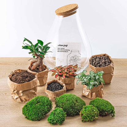 🌿🛠️ DIY Terrarium Drop XL – Bonsai – 37 cm – Including rake, shovel &amp; tweezers