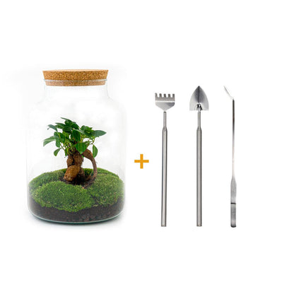 🌿🛠️ DIY Terrarium Milky – With bonsai – 30 cm – Including rake, shovel &amp; tweezers