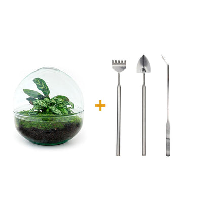 🌿🛠️ DIY Terrarium Dome – 20 cm – Includes rake, shovel &amp; tweezers