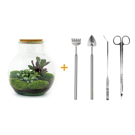 🌿🛠️ DIY Terrarium Teddy – 26.5 cm – Complete with rake, shovel, tweezers &amp; scissors