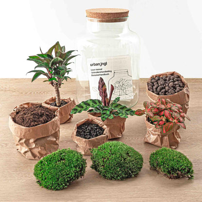 🪴 DIY Terrarium Milky Palm – 30 cm