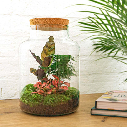 🌿🛠️ DIY Terrarium Milky – 30 cm – Including rake &amp; shovel