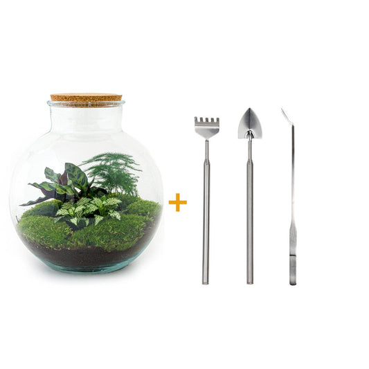 🌿🛠️ DIY Terrarium Bolder Bob – 30 cm – Includes rake, shovel &amp; tweezers