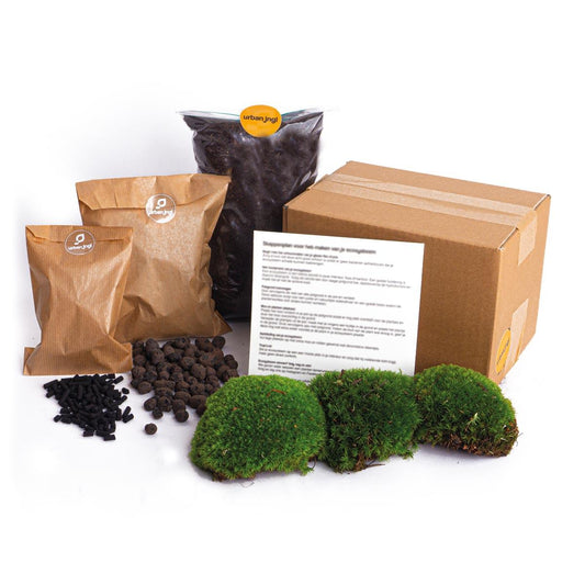 🎁 DIY Terrarium Refill – Starter Kit – Size L/XL