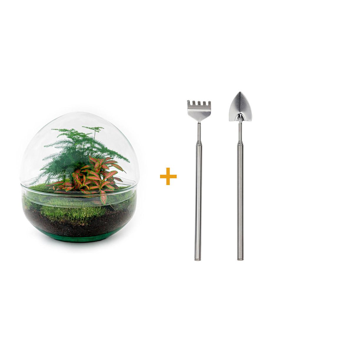 🌿🛠️ DIY Terrarium Dome Red – 20 cm – Including rake &amp; shovel