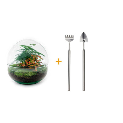🌿🛠️ DIY Terrarium Dome Red – 20 cm – Including rake &amp; shovel