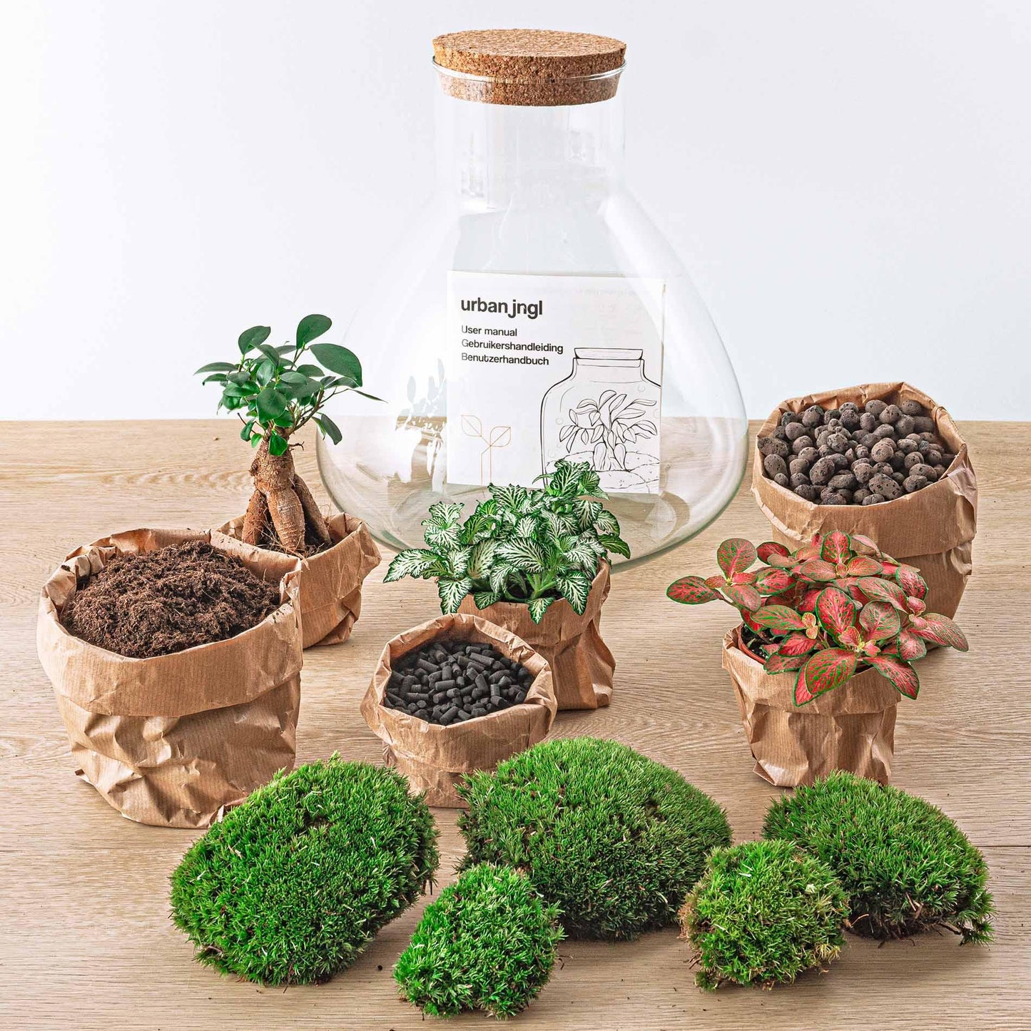 🌿🛠️ DIY Terrarium Sam XL – Bonsai – 35 cm – Including rake &amp; shovel