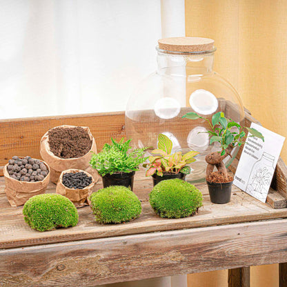 🪴🛠️ DIY Terrarium Bolder Bob – Bonsai – 30 cm – Complete with rake, shovel, tweezers &amp; scissors
