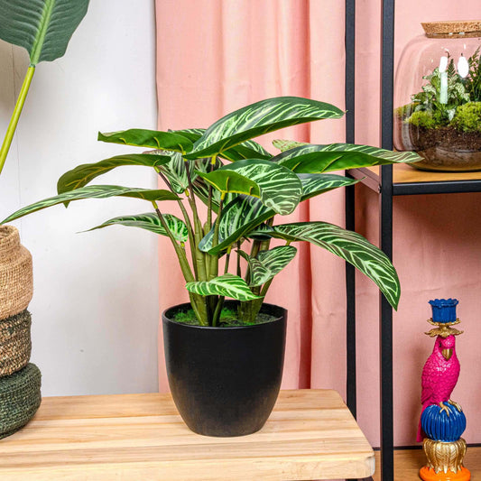 🌿 Calathea Zebrina Kunstplant – 42 cm