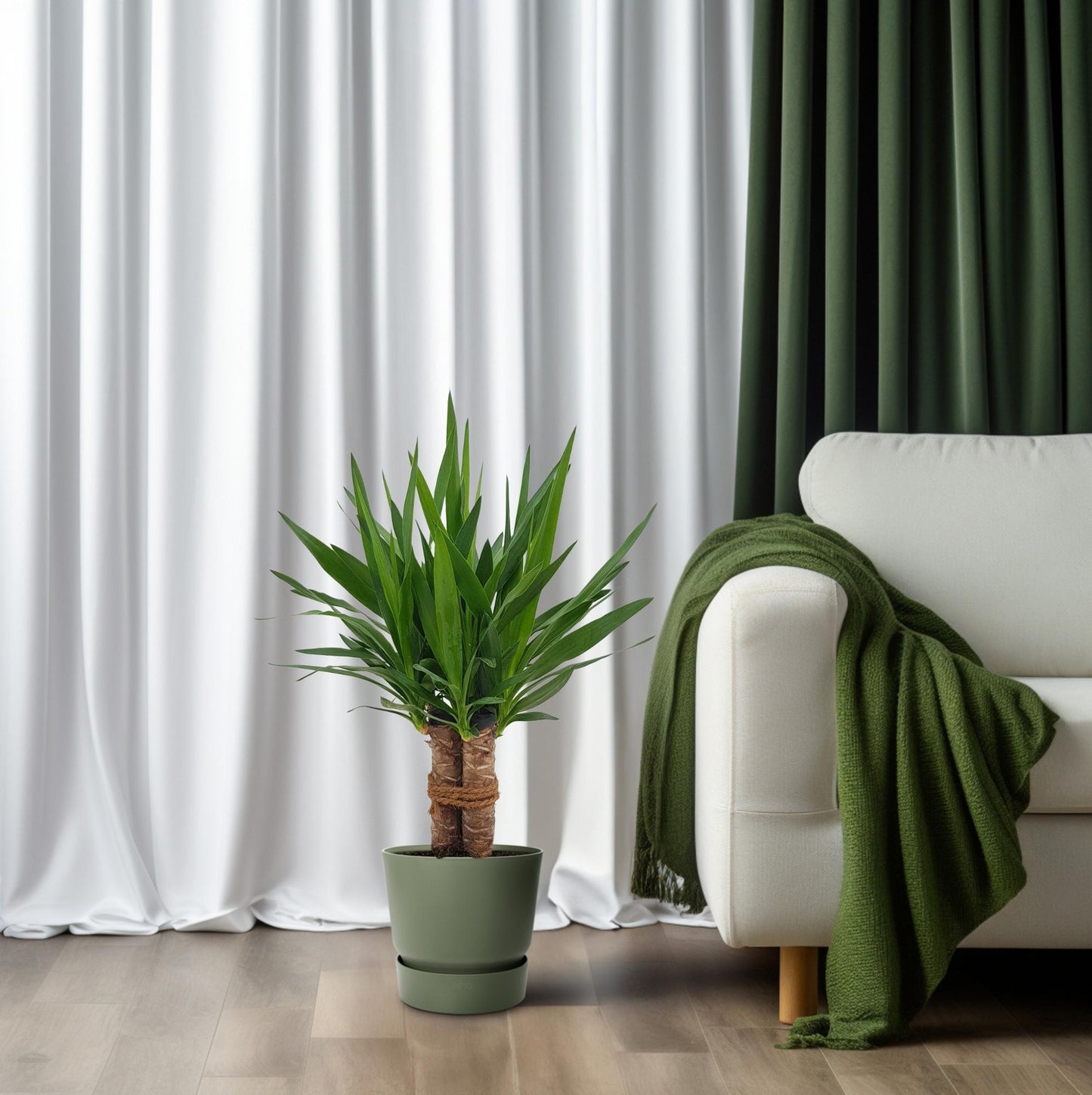 Yucca “Tres Cañas” – Ø19cm ↕70cm | Easy maintenance