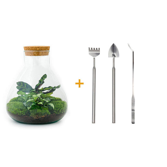 🌿🛠️ DIY Terrarium Sammie – 27 cm – Complete with rake, shovel, tweezers &amp; scissors