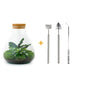 🌿🛠️ DIY Terrarium Sammie – 27 cm – Complete with rake, shovel, tweezers &amp; scissors
