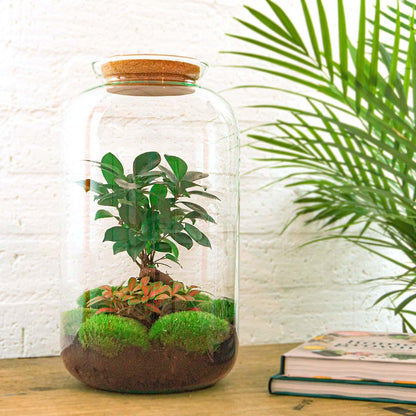 🌿🛠️ DIY Terrarium Sven – Bonsai – 43 cm – Including rake, shovel &amp; tweezers
